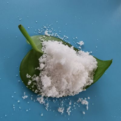 95%副产盐